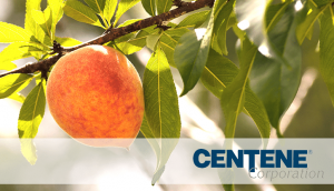 Peach State Health Centene | Senior Market Advisors