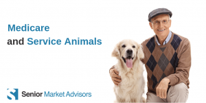 Learn about service animals and the role of Medicare!